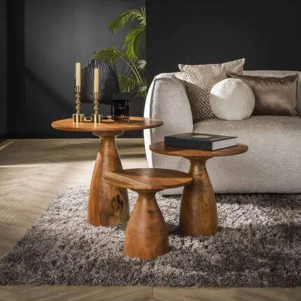 Mango Wood Round Coffee Table Set of 3